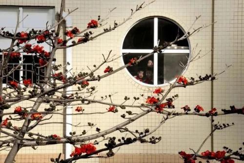 东莞高校校花排名前十(东莞最好的大学是哪一所)插图21