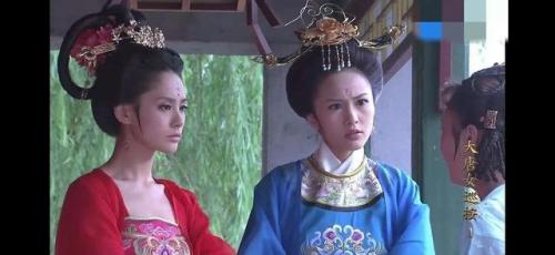 大唐女巡按(大唐女巡按续写谢瑶环秦明)插图9