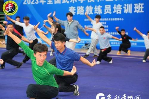贵阳武术基地排名前十(贵阳武术学院有哪些)插图3