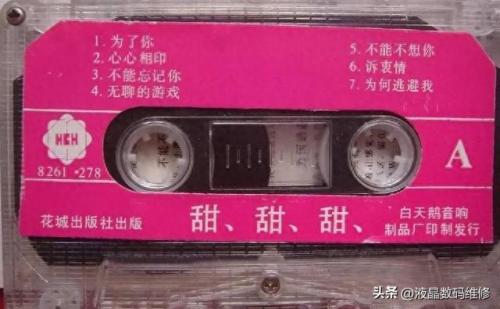 甜歌十大歌手排行榜最新(十大甜美女嗓音视频)插图1