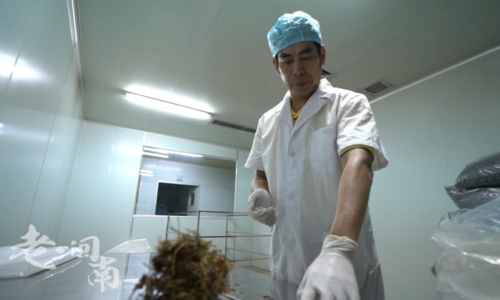 晋江茶叶厂家排名前十(福建知名茶叶企业有哪些)插图5