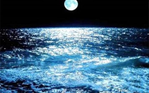 春江潮水连海平全诗(共潮生出自哪首诗)