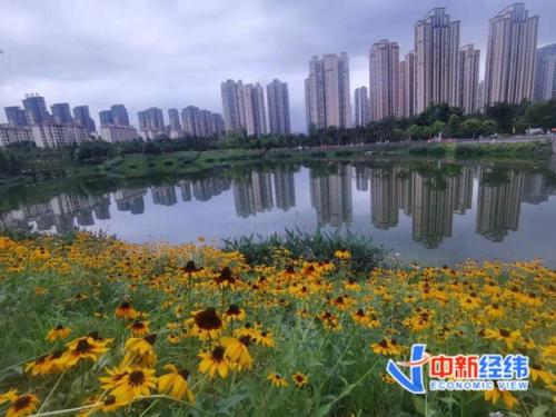年内多地调整公积金政策(2019年可以直接提取公积金)插图1
