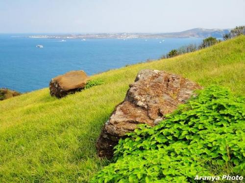 济州岛旅游攻略(济州岛必去的十大景点)插图33