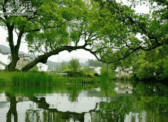 养老城市排行榜(广西养老地方排名前十)插图3