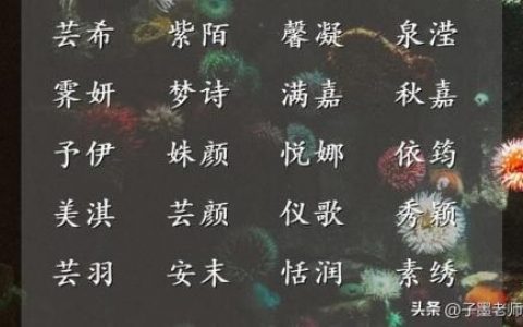 温婉的意思(温婉跟优雅的区别)