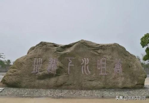 巢湖市小学排行榜(安徽巢湖学校初中排名)插图7