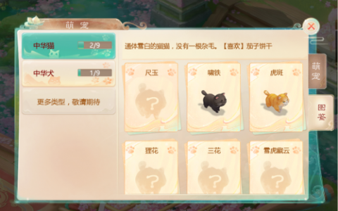 大话西游手游萌宠玩法介绍(大话西游手游十大土豪)