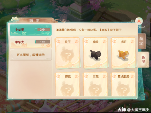 大话西游手游萌宠玩法介绍(大话西游手游十大土豪)插图