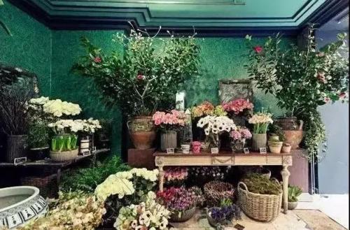 想开花店(新手怎么开花店)插图2
