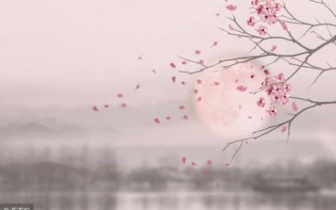 周杰伦古风歌曲排行榜(周杰伦十大中国风歌曲)