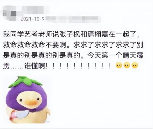 明星情侣排行榜(90后明星情侣有哪些)插图6