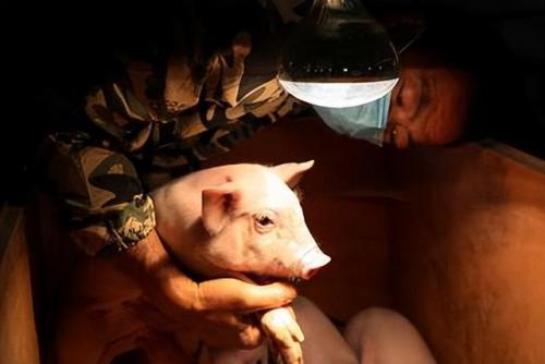 美国蓄牧机械排名前十(世界农业机械公司排名)插图9