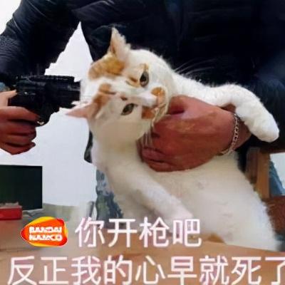 高达类单机游戏(高达游戏推荐)插图1