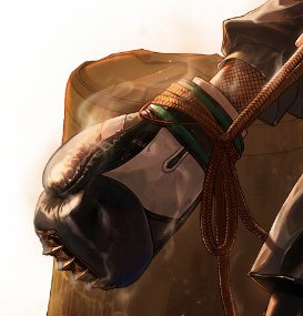 柔道家武器大全(dnf柔道家用臂铠还是东方棍)插图9