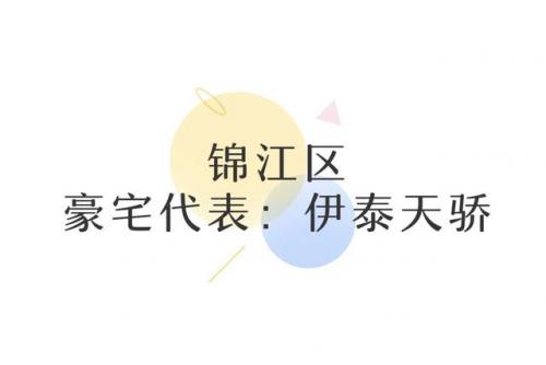 成都简约豪宅排名前十(成都最贵豪宅)插图19