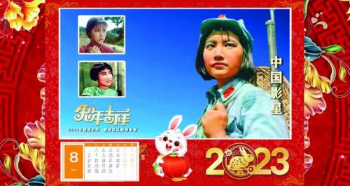 60后女星排行榜(60后女演员演技最好的)插图8