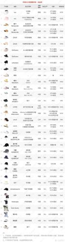 防晒伞明星排名前十(专业防晒伞哪个品牌最好)插图13