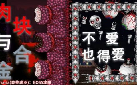 泰拉瑞亚肉山图片(打完肉山后换什么装备)