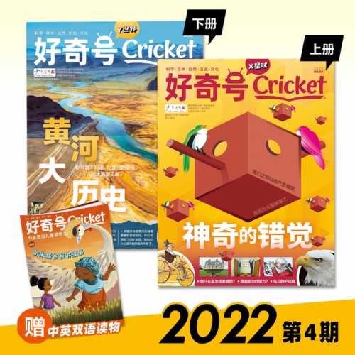 少儿杂志订阅排行榜(少儿期刊哪些订阅最多)插图1