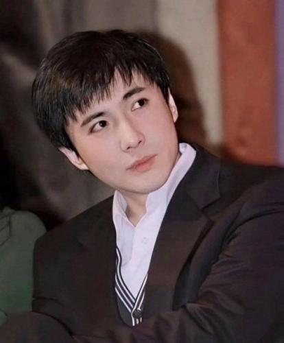 中国一线男演员排行榜(中国实力派男演员20强)插图28