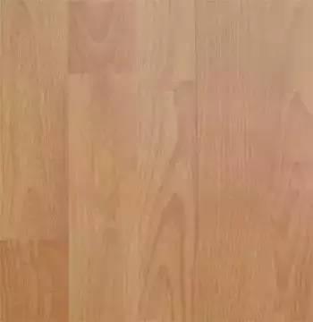 木头密度与硬度排行榜(各种木材的密度和硬度)插图12