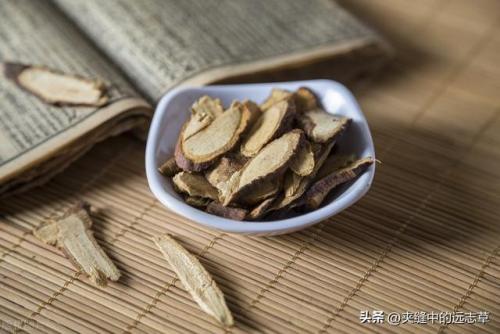 桑寄生的功效与作用及食用方法(钩藤的功效与作用)插图2