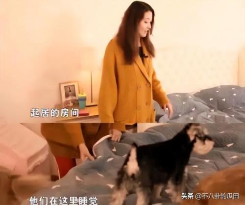 中国明星复出排名前十(永不复出的明星6)插图49