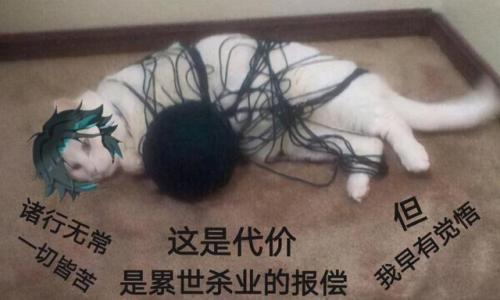 异界气息净化书拼音怎么打(异界气息扭曲书怎么弄)插图14