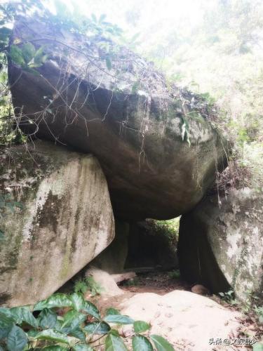 东莞马山仙境(马山仙境2019年要门票吗)插图3