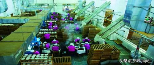 淘宝茶叶排行榜(茶叶网店排行榜前10名)插图6