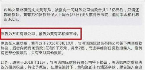 赵薇老公黄有龙资料(黄有龙邵东老家房子)插图
