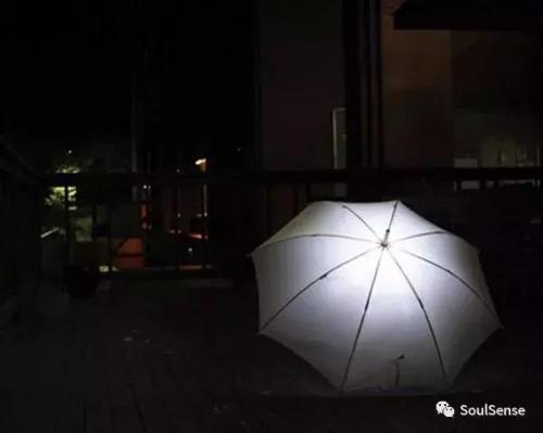 世界雨伞品牌排行榜(十大名牌雨伞)插图7