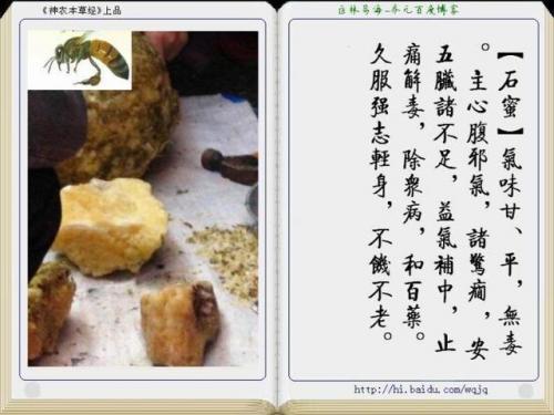 本草纲目中药大全(12000种中草药大全)插图17
