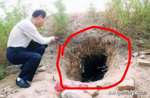 盗墓小鬼对墓穴(yys盗墓小鬼哪里多)插图5