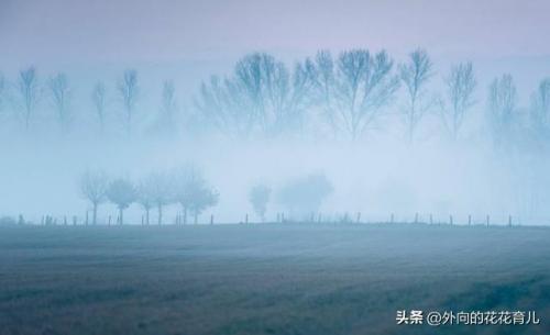 婴儿抗过敏奶粉排行榜(水解奶粉口碑最好的前十名)插图1
