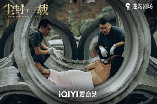 今年十大国产剧排行榜(国内10大最好看的国产剧)插图5