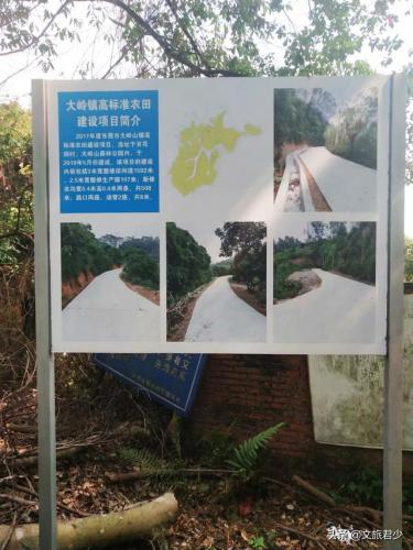 东莞马山仙境(马山仙境2019年要门票吗)插图2