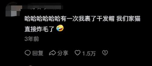 明星宠物面膜排名前十(全部明星的宠物的名字)插图31
