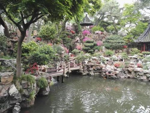 上海玩的地方排行榜(上海必去的十大景点)插图7