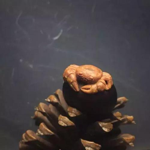 独山玉菩提(云南菩提子)插图5