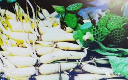 宝应美食排行榜(宝应十大美食名小吃)插图1