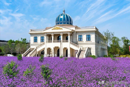 排名前十的亲子农庄(江浙一带农家乐排名)插图23