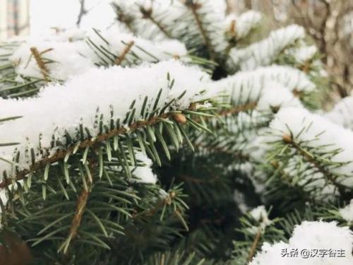 雹组词拼音(揪组词两个字的词语)插图11
