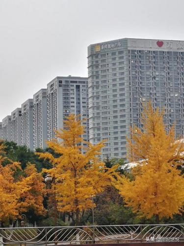 鞍山站前(鞍山站到鞍山西站多远)插图5