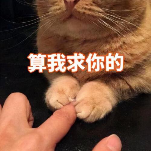 考古怎么冲(考古的流程及步骤)插图27