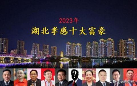孝感市十大首富排行榜名字(孝感陡岗十大首富)