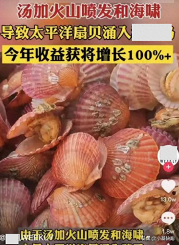 2022年十大奇葩新闻排行榜(最近十大假新闻)插图