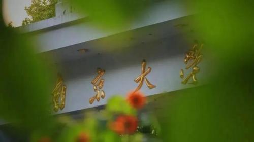 南京高校排行榜(南京中等职业学校排名)插图3