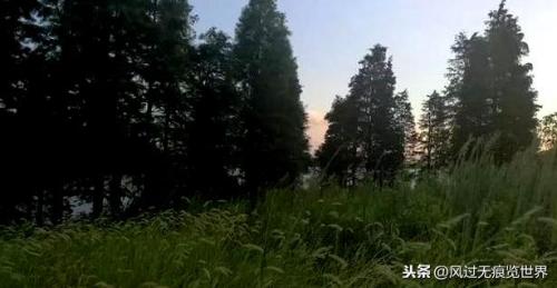 茅山至高战法排名前十(茅山最厉害的法术)插图6